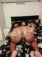 Private Photo of missdeatrans